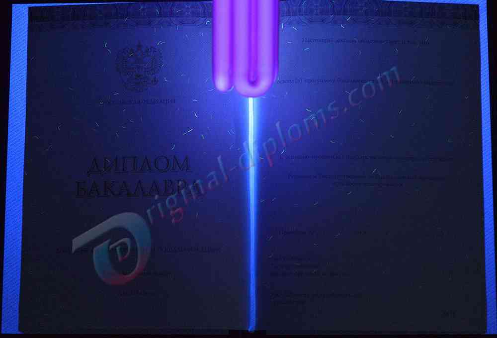 Диплом бакалавра 2014-2026